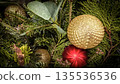 festive arrangement of glittering colorful Christmas ornament balls nestled in lush evergreen branches, creating a warm, celebratory mood perfect for holiday decor and seasonal stock photography 135536536