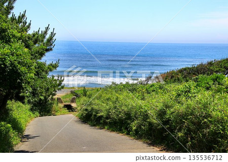 That sea, that coast... Hokota city, wasteland coast 135536712