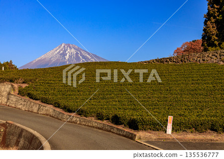 從靜岡茶園眺望，富士山皚皚的雪山景色壯麗。 135536777