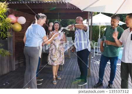 Group of seniors celebrating outdoors, toasting with drinks and enjoying party 135537312