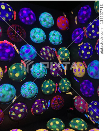 Colorful ball Colorful ball 135537718