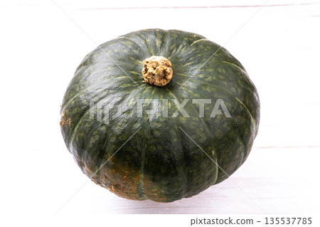 Chestnut pumpkin Chestnut pumpkin 135537785