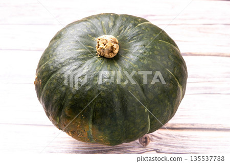Chestnut pumpkin 135537788