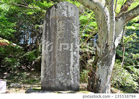位於三重縣伊賀市的福地城遺址，現已開發為芭蕉公園。 135538794