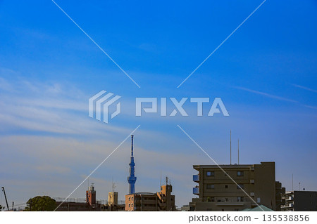 Scenery with sky tree Scenery with sky tree 135538856