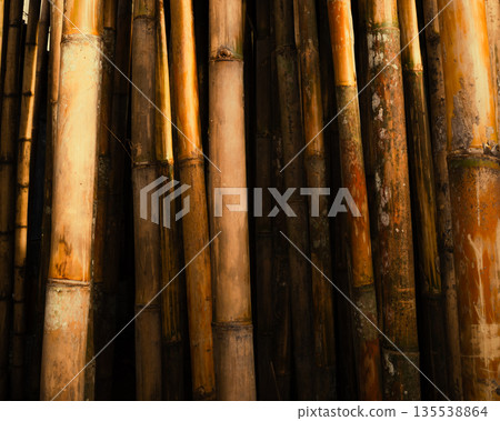Close-up of bamboo stems in warm golden tones, vertical composition for natural textures, eco-friendly backgrounds, and Asian-inspired designs in stock photography Close-up of bamboo stems in warm golden tones, vertical composition for natural textures, eco-friendly backgrounds, and Asian-inspired designs in stock photography 135538864
