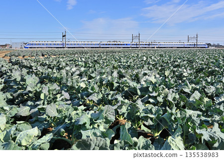 鐵路：東武伊勢崎線特急列車「兩毛」11號 205F 200系列 135538983