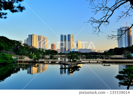 冬季的濱離宮庭園。勝鞅和豐見地區正在重建。 135539014