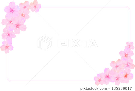 Square cherry blossom petal frame 135539017