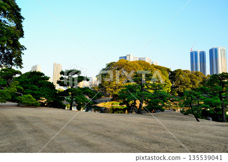 Hama-rikyu Gardens in winter. Redevelopment is underway in the Kachidoki and Toyomi areas. Hama-rikyu Gardens in winter. Redevelopment is underway in the Kachidoki and Toyomi areas. 135539041