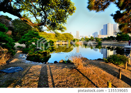 Hama-rikyu Gardens in winter. Redevelopment is underway in the Kachidoki and Toyomi areas. 135539085
