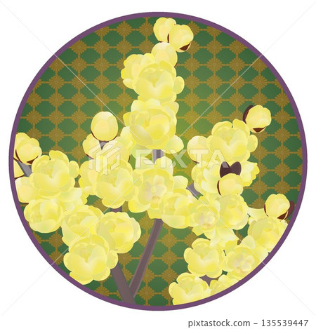 Illustration of wintersweet with a circular background Illustration of wintersweet with a circular background 135539447