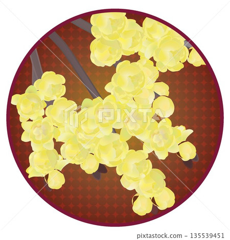 Illustration of wintersweet with a circular background Illustration of wintersweet with a circular background 135539451