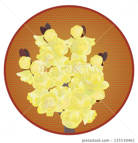 Illustration of wintersweet with a circular background Illustration of wintersweet with a circular background 135539461