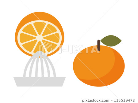 Flat illustration of squeezing a mandarin orange Flat illustration of squeezing a mandarin orange 135539478