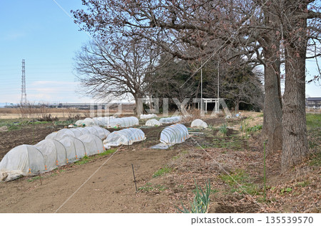宮代町散步：埼玉縣南埼玉郡宮代町和戶愛宕神社 135539570