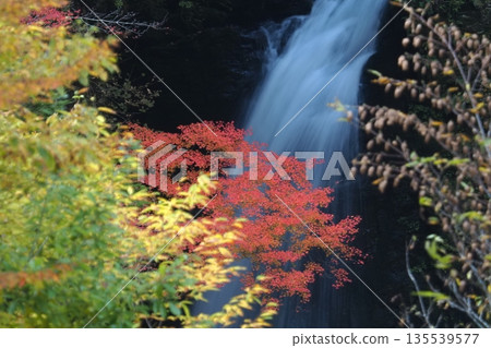 秋天的高野大瀧 秋天的高野大瀧 135539577