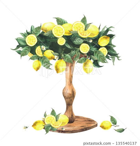 Watercolor Wooden stand decorated with lemon branches, citrus fruits and leaves. Hand drawn Italian Mediterranean style table decoration for dessert, wedding cake, birthday party isolated illustration Watercolor Wooden stand decorated with lemon branches, citrus fruits and leaves. Hand drawn Italian Mediterranean style table decoration for dessert, wedding cake, birthday party isolated illustration 135540137