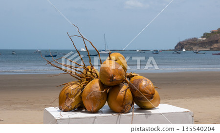 Island food at sunny beach. Luxury coco fruit. Travel and vacation. Exotic harvest. Coconut tropical food. Exotic fruit. Exotic summer fruit of fresh coconut. Exotic coconut palm fruit. Tropical food 135540204