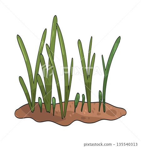 illustration of Fresh grass 135540313