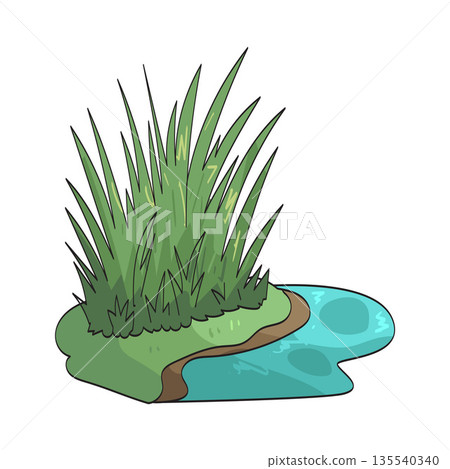 illustration of River grass illustration of River grass 135540340
