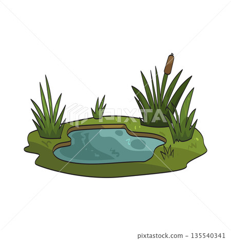 illustration of Pond grass illustration of Pond grass 135540341