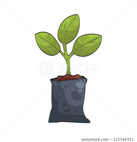 illustration of seedling illustration of seedling 135540351