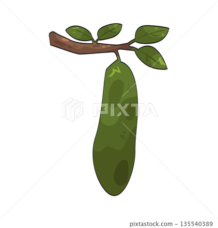 illustration of tree pod 135540389