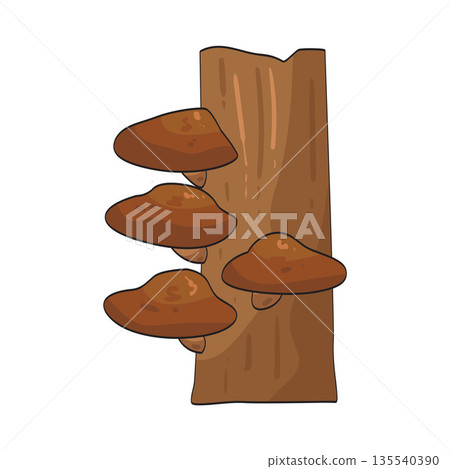 illustration of tree mushroom illustration of tree mushroom 135540390