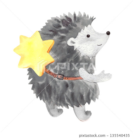 Hedgehog. Handmade watercolor illustration. For fabric, packing paper, greeting cards, design, decoration and illustration. Hedgehog. Handmade watercolor illustration. For fabric, packing paper, greeting cards, design, decoration and illustration. 135540435
