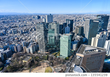 Tokyo cityscape Tokyo cityscape 135541239