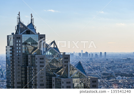 Tokyo cityscape 135541240
