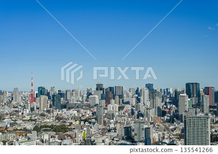Tokyo cityscape Tokyo cityscape 135541266