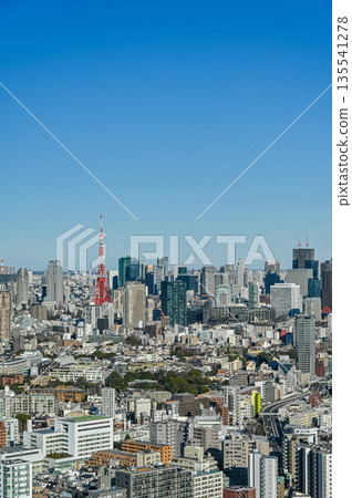 Tokyo cityscape Tokyo cityscape 135541278