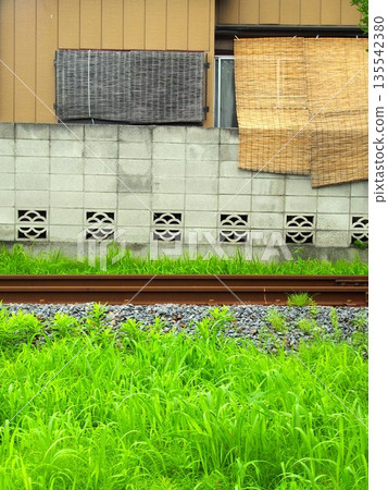 The Nagareyama Line passing behind a house with summer grass growing The Nagareyama Line passing behind a house with summer grass growing 135542380