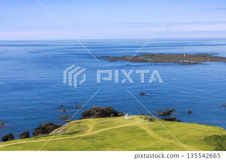 A cape grassland overlooking the blue sea A cape grassland overlooking the blue sea 135542665