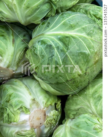 Close-up of fresh green cabbages piled together. 135543527