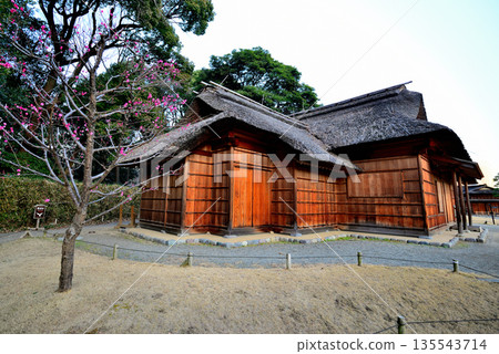 冬天的濱離宮恩賜庭園 高野御茶屋 冬天的濱離宮恩賜庭園 高野御茶屋 135543714