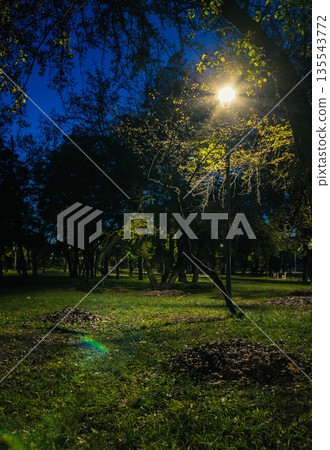 The tailed lawn with yellow leafs in the night park with lanterns in autumn. Benches in the park during the autumn season at night. Illumination of a park road with lanterns at night. Park Kyoto The tailed lawn with yellow leafs in the night park with lanterns in autumn. Benches in the park during the autumn season at night. Illumination of a park road with lanterns at night. Park Kyoto 135543772