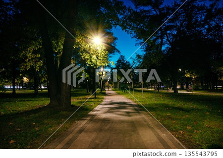 The tailed road with yellow leafs in the night park with lanterns in autumn. Benches in the park during the autumn season at night. Illumination of a park road with lanterns at night. Park Kyoto 135543795