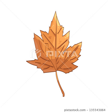 illustration of autumn leaf 135543864