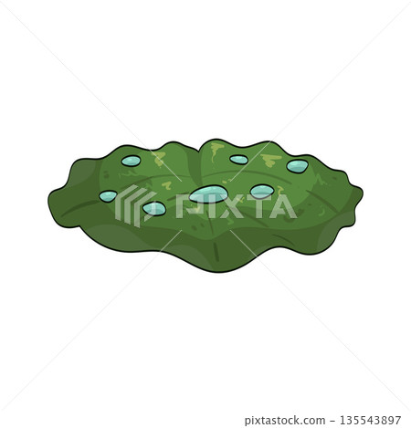 illustration of lotus leaf illustration of lotus leaf 135543897