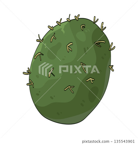 illustration of cactus leaf 135543901