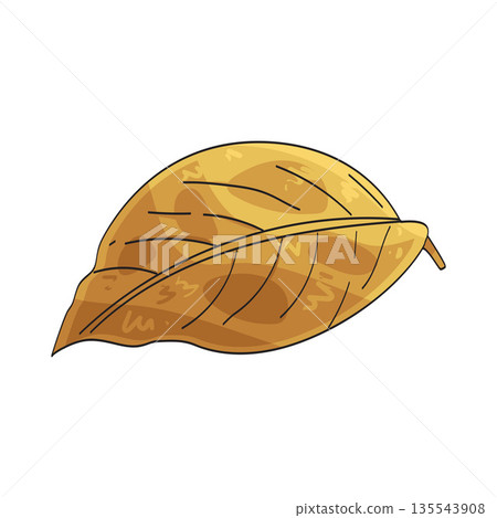illustration of golden leaf 135543908