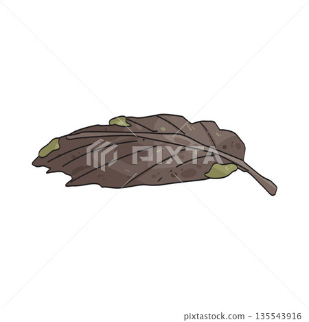 illustration of ancient leaf 135543916