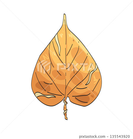 illustration of sacred leaf 135543920