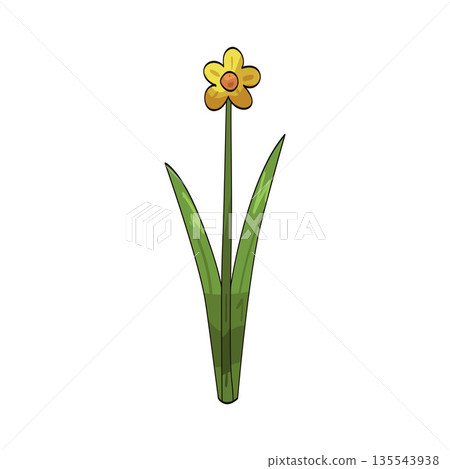 illustration of grass flower illustration of grass flower 135543938