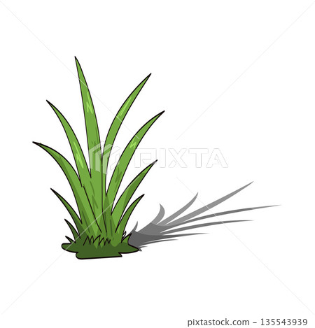 illustration of Grass with shadow illustration of Grass with shadow 135543939