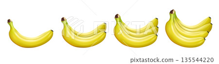 Banana set. Banana, bunch of bananas isolated on white background. Vector realistic illustration. 135544220