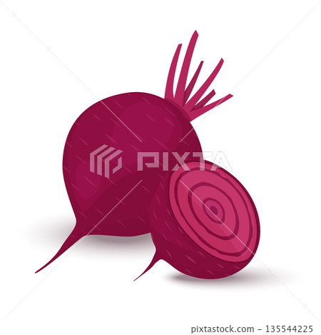 Red beetroot whole and cut isolated on white background. vector illustration flat design Red beetroot whole and cut isolated on white background. vector illustration flat design 135544225